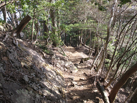 20190108hike (417)